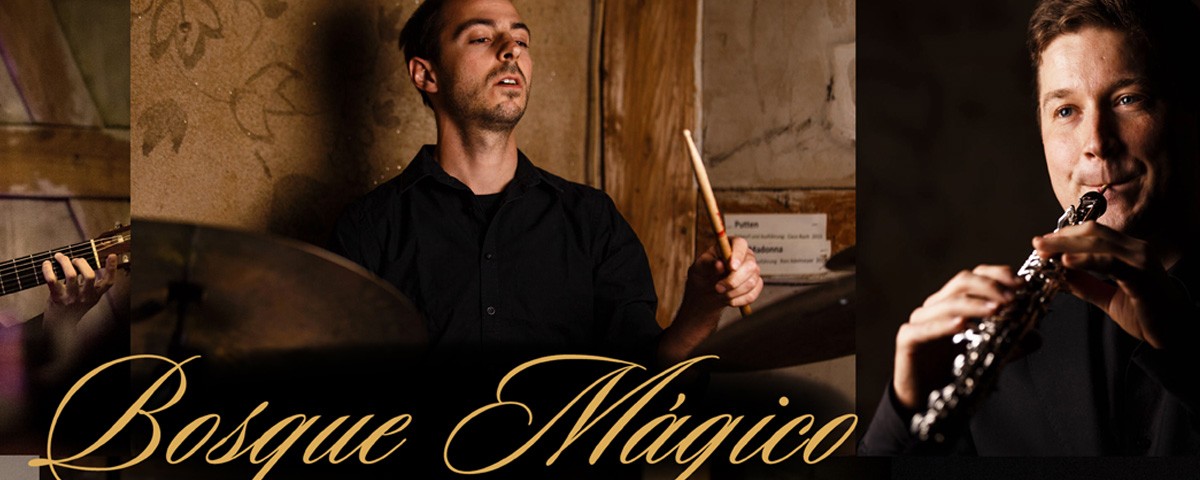 BosqueALLE-1200x480 BosqueALLE-1200x480
