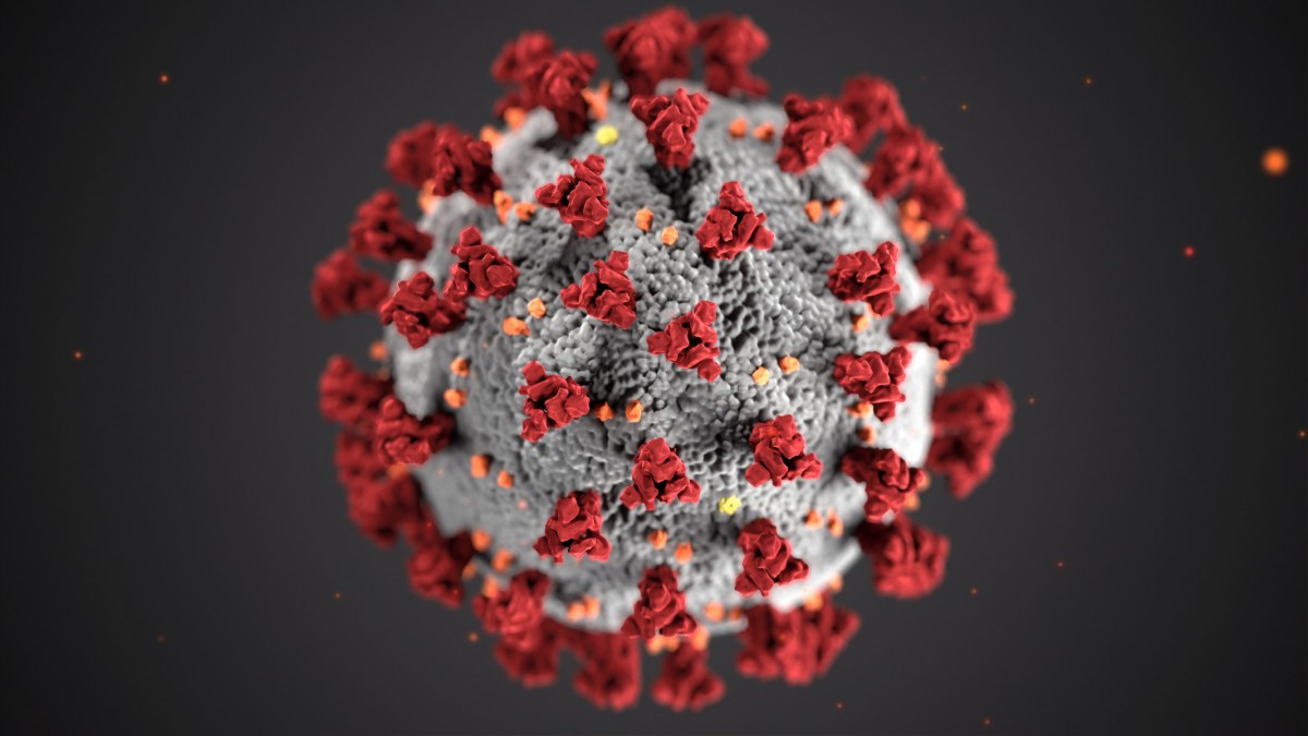 cdc-w9KEokhajKw-unsplash-small cdc-w9KEokhajKw-unsplash-small