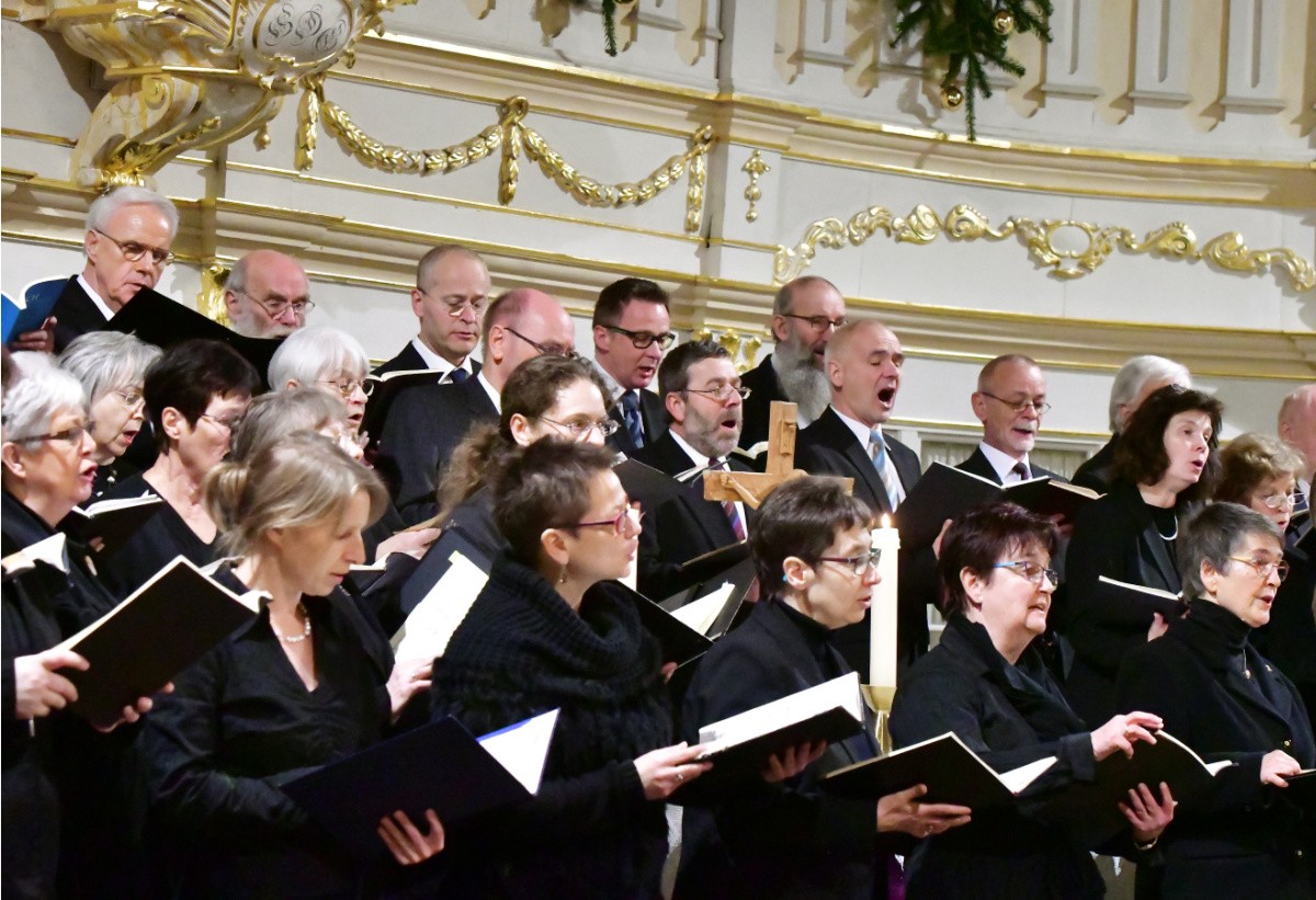 bachchor arn by h-p stadermann bachchor arn by h-p stadermann